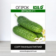 Насіння огірка зятек F1, 0,5 кг